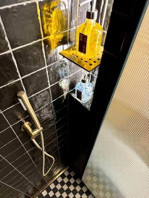 Apartment Art & Sunski Z Garazem Podziemnym Krynica Zdroj