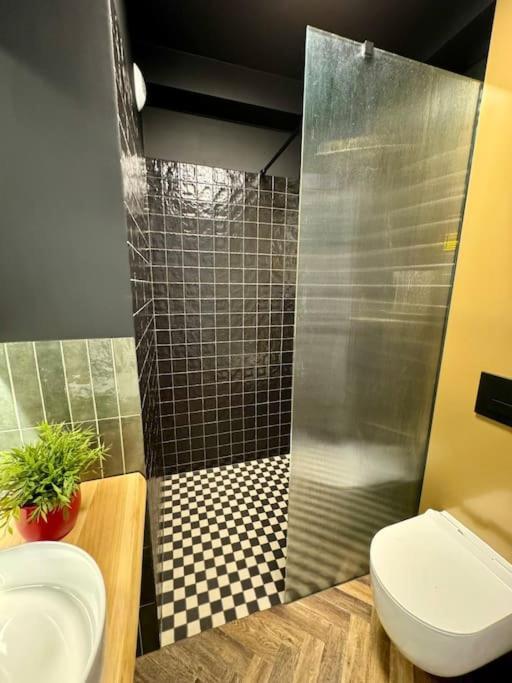 Apartment Art & Sunski Z Garazem Podziemnym Krynica Zdroj