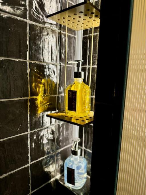 Apartment Art & Sunski Z Garazem Podziemnym Krynica Zdroj