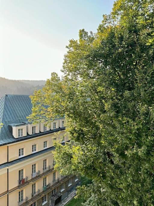 Art & Sunski Z Garazem Podziemnym Krynica-Zdrój